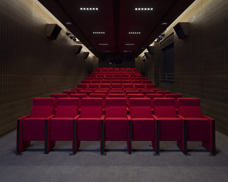 Auditorium Charles Brabant - photo Matthieu Raffard