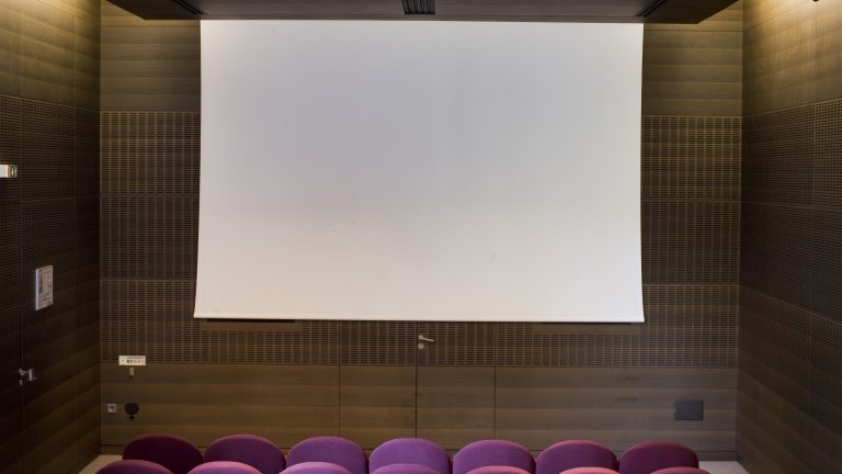 Salle de projection Charles Brabant